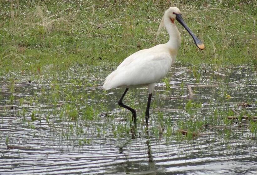 민박 Guestrooms Struma Dolinata