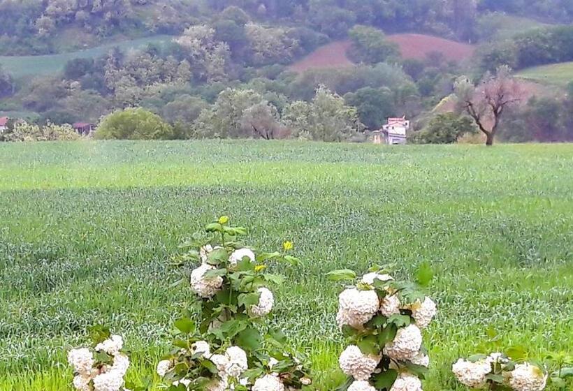 ベッドアンドブレックファースト Le Bumbarelle