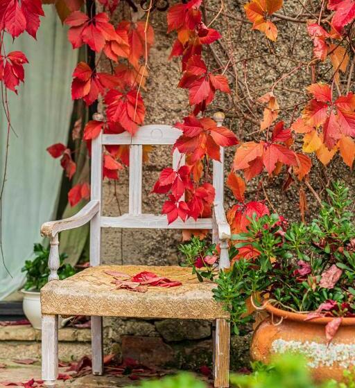 ベッドアンドブレックファースト Le Bumbarelle