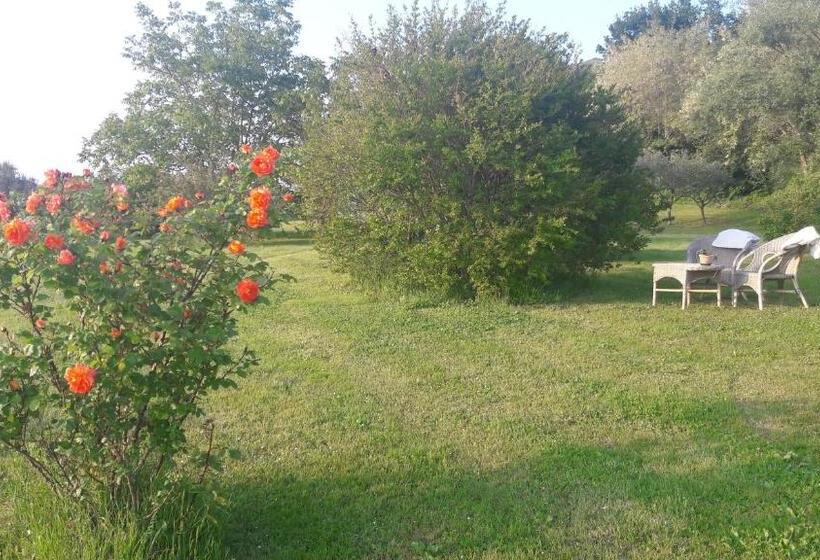 ベッドアンドブレックファースト Le Bumbarelle