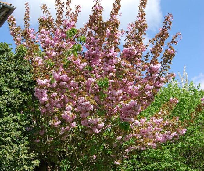 住宿加早餐  Le Clos Verlaine