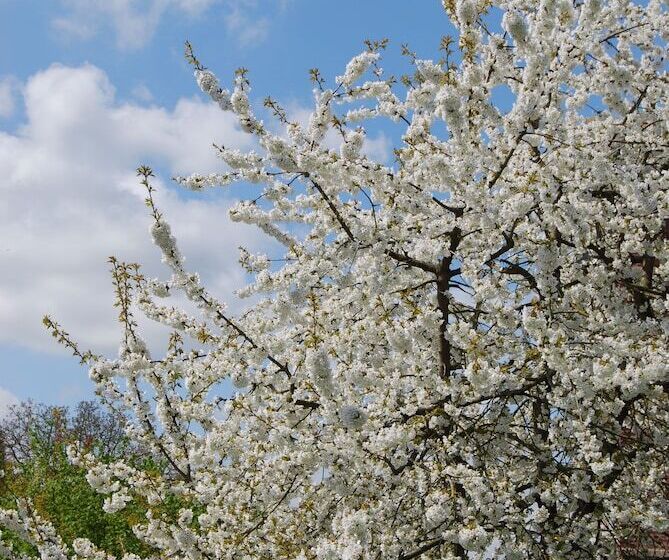 住宿加早餐  Le Clos Verlaine