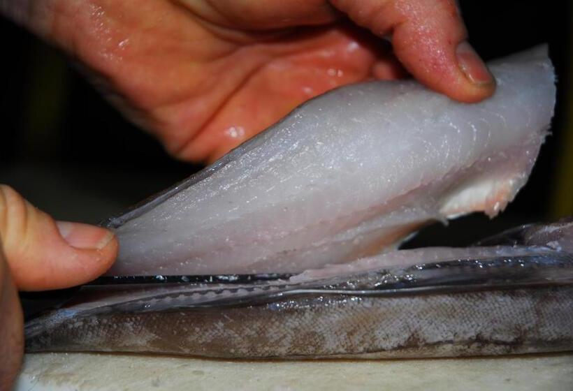 住宿加早餐  Chambres D Hôtes Le Logis Du Port Paradis