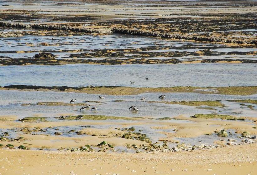 住宿加早餐  Chambres D Hôtes Le Logis Du Port Paradis