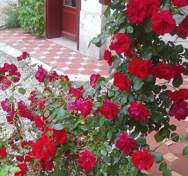 مبيت وإفطار Les Luz   Chambres D Hôtes