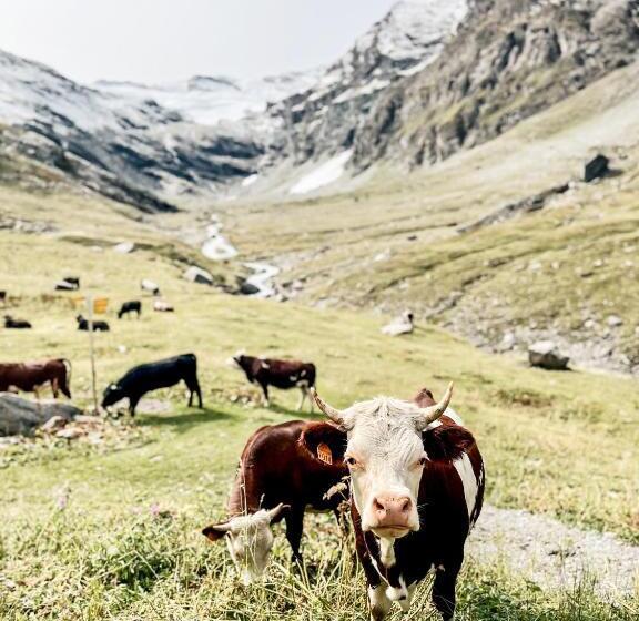 住宿加早餐  Maison De La Montagne   Chambres & Relax