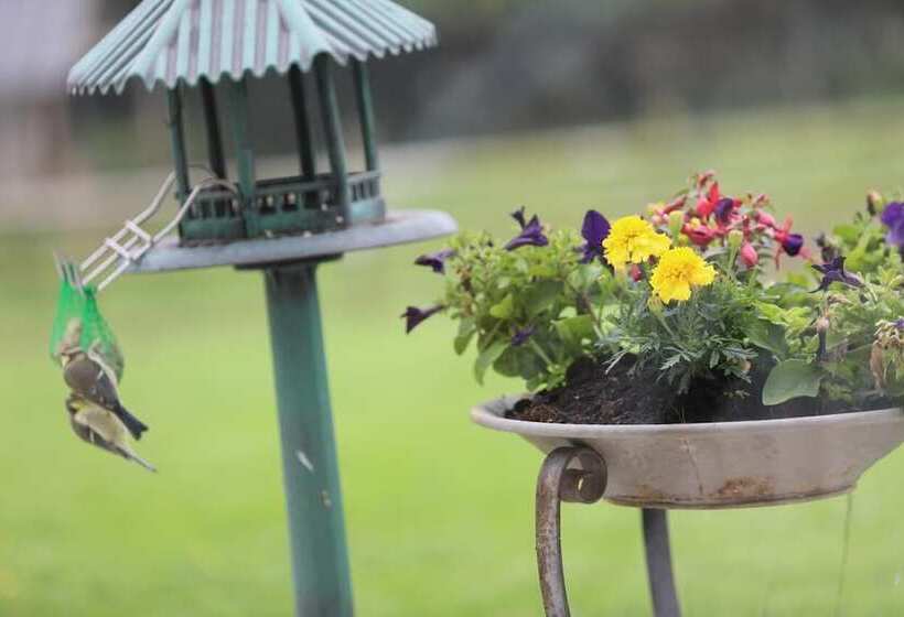 Bed and Breakfast Mon Taj Mahal