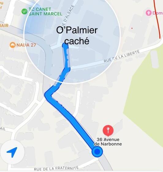 مبيت وإفطار O Palmier Caché