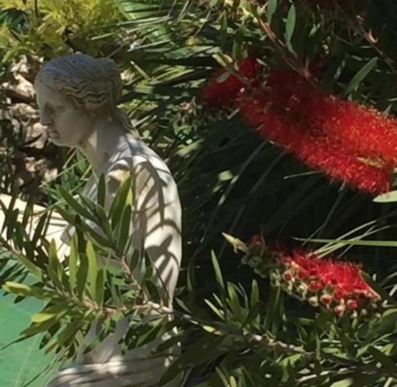 مبيت وإفطار O Palmier Caché