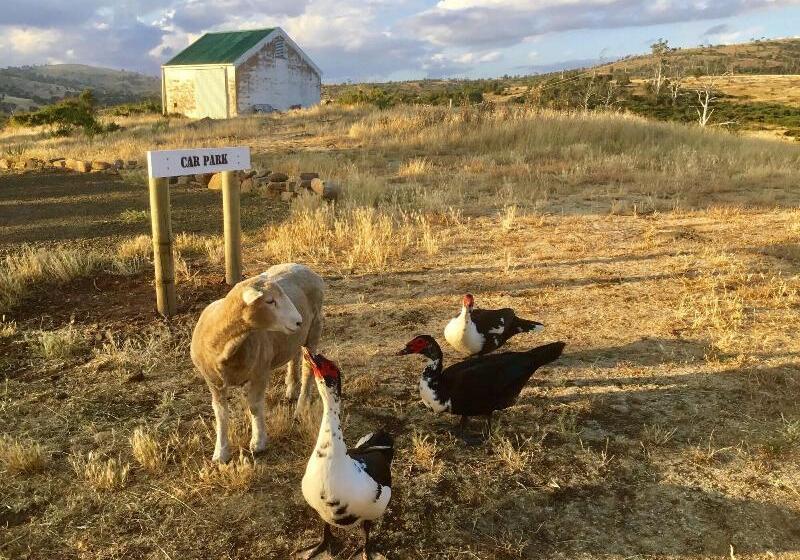 Bed and Breakfast Shearers  Quarters Rathmore