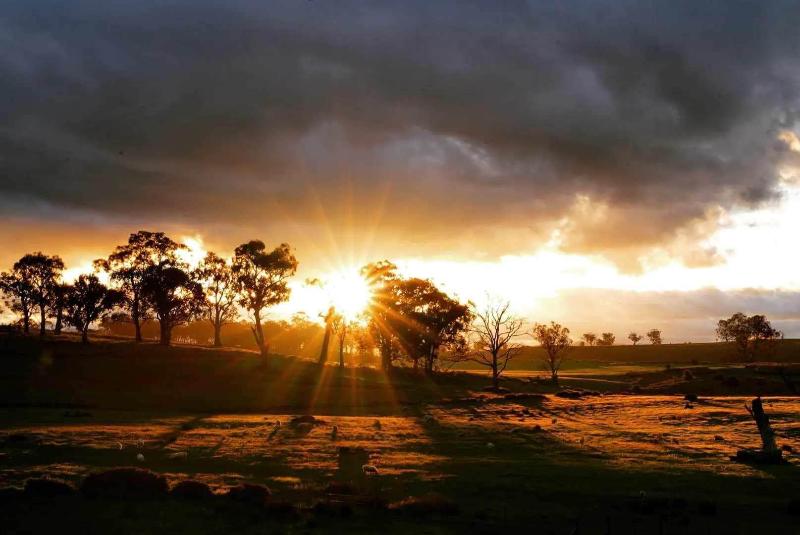 Bed and Breakfast Shearers  Quarters Rathmore