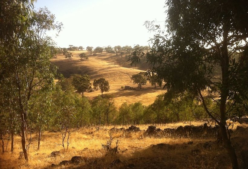 Bed and Breakfast The Jonathan Art Centre