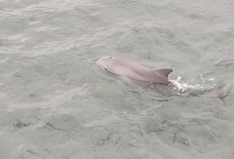 민박 Vagabond Historic