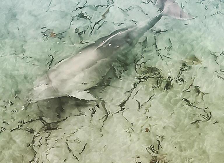 민박 Vagabond Historic