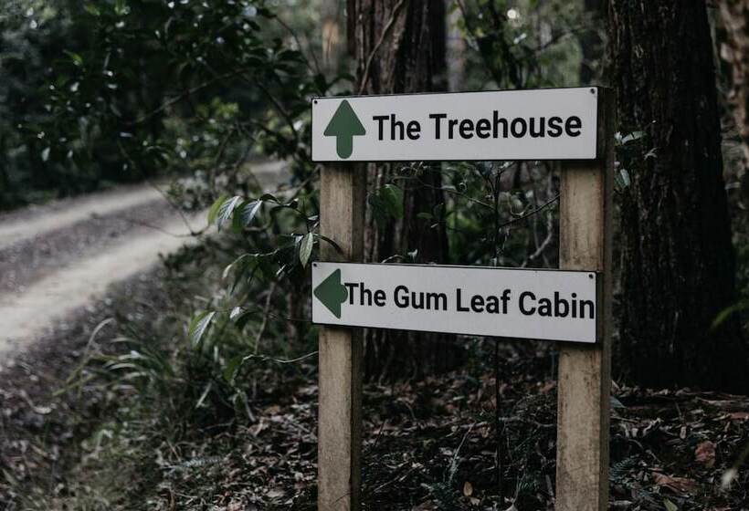 Carawirry Forest Escape