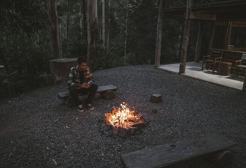 Carawirry Forest Escape
