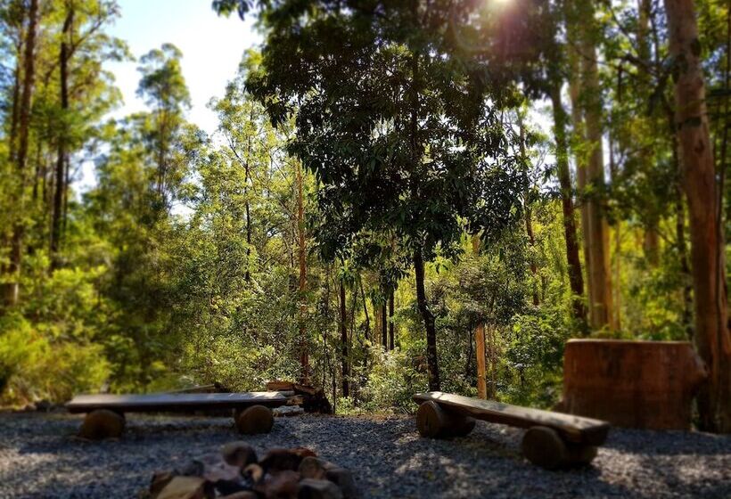 Carawirry Forest Escape