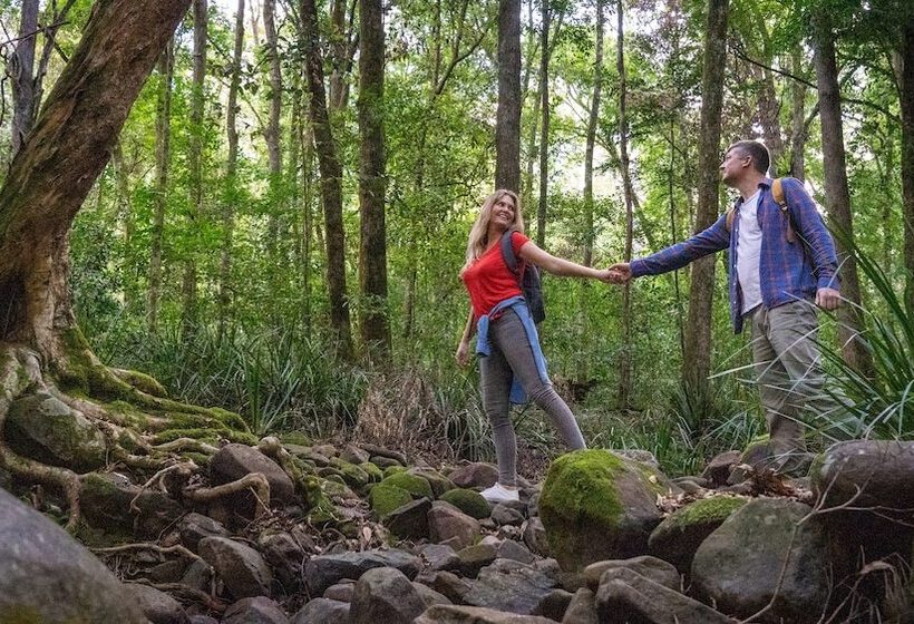 Carawirry Forest Escape