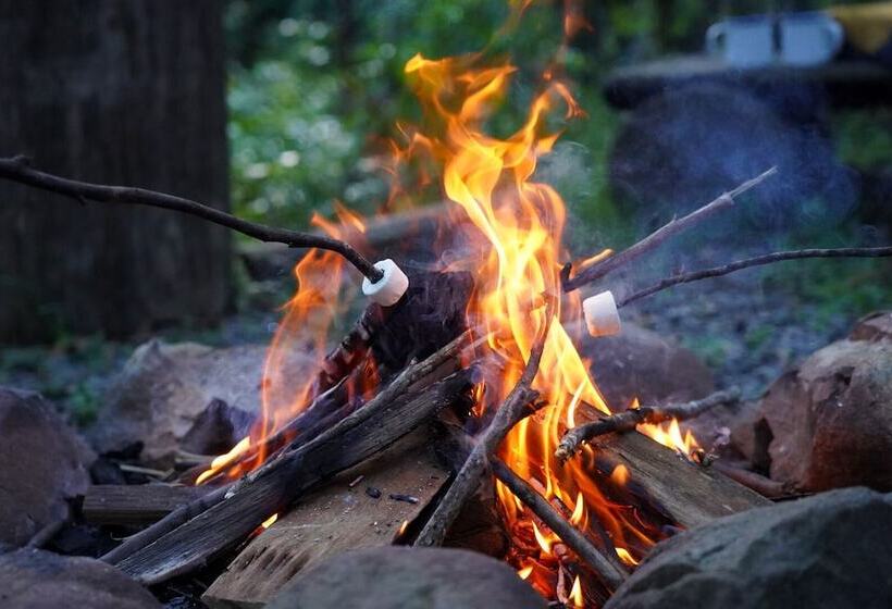 Carawirry Forest Escape