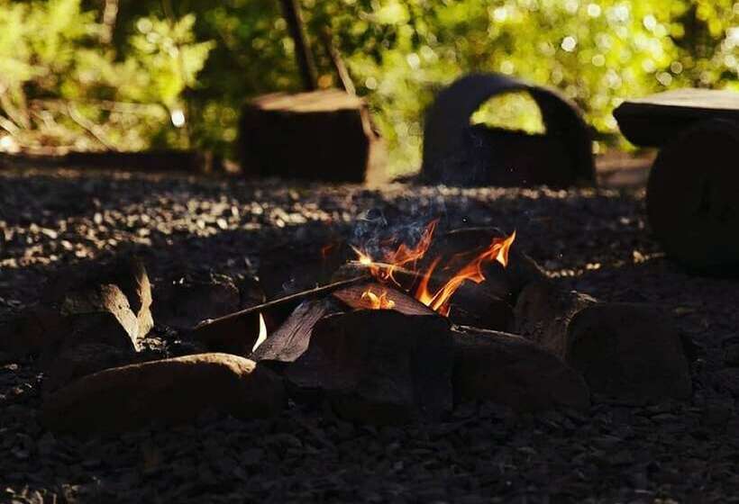 Carawirry Forest Escape