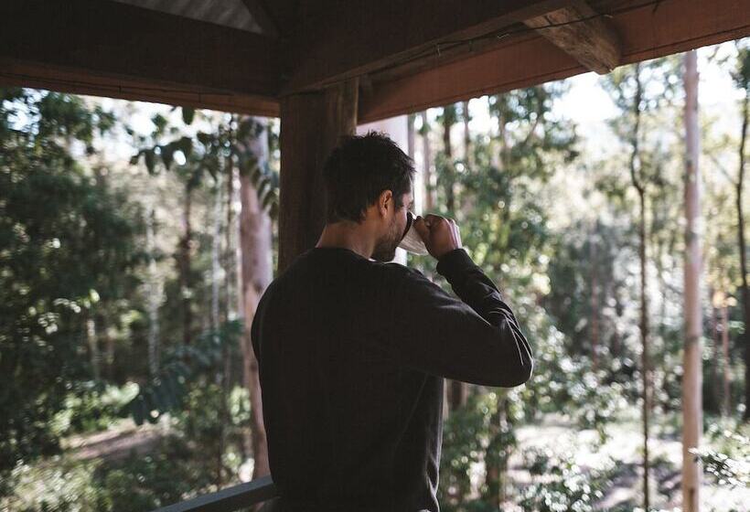 Carawirry Forest Escape