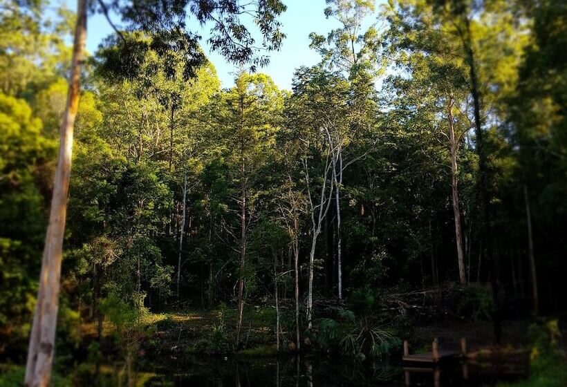 Carawirry Forest Escape