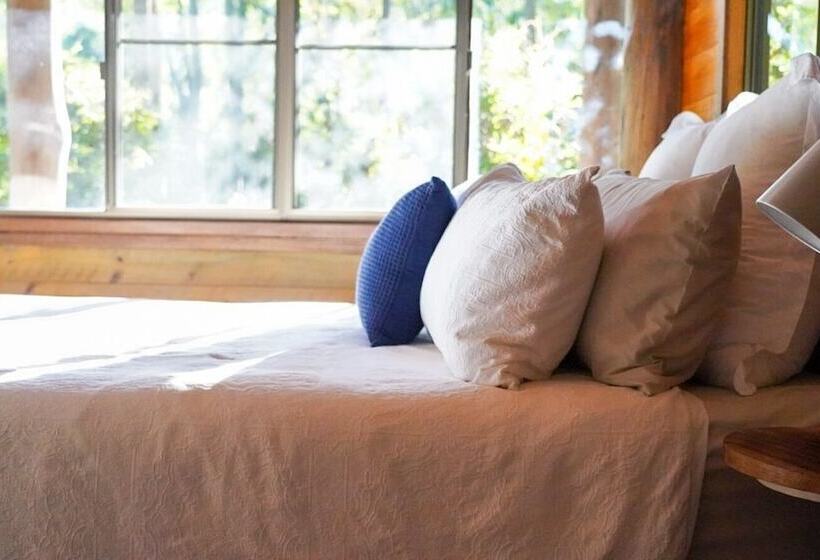 Carawirry Forest Escape