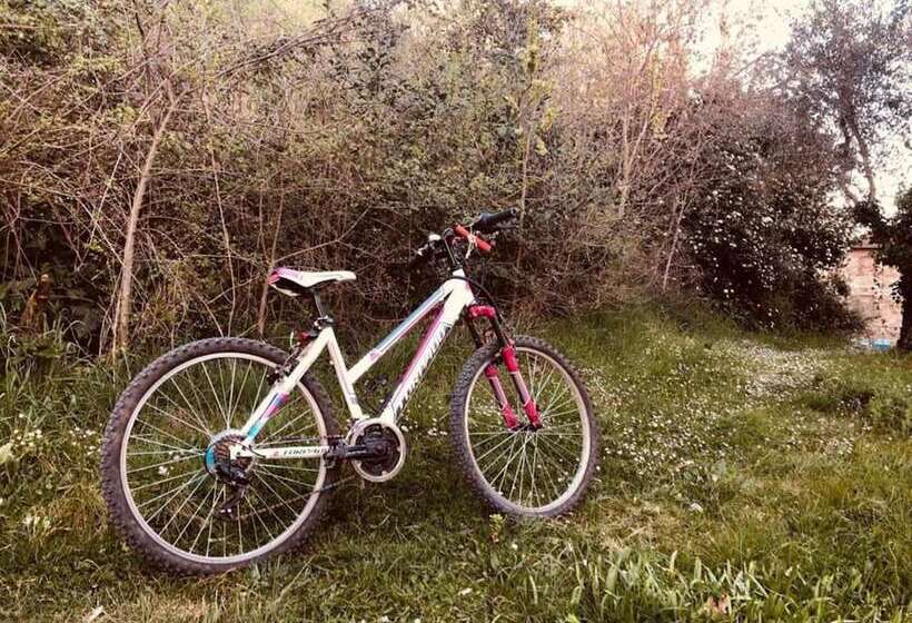 Casanova   Family Apartments Residence