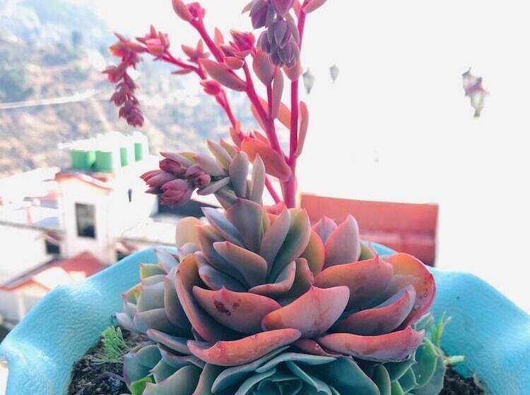 בית מלון כפרי Aqua De Vida Resort