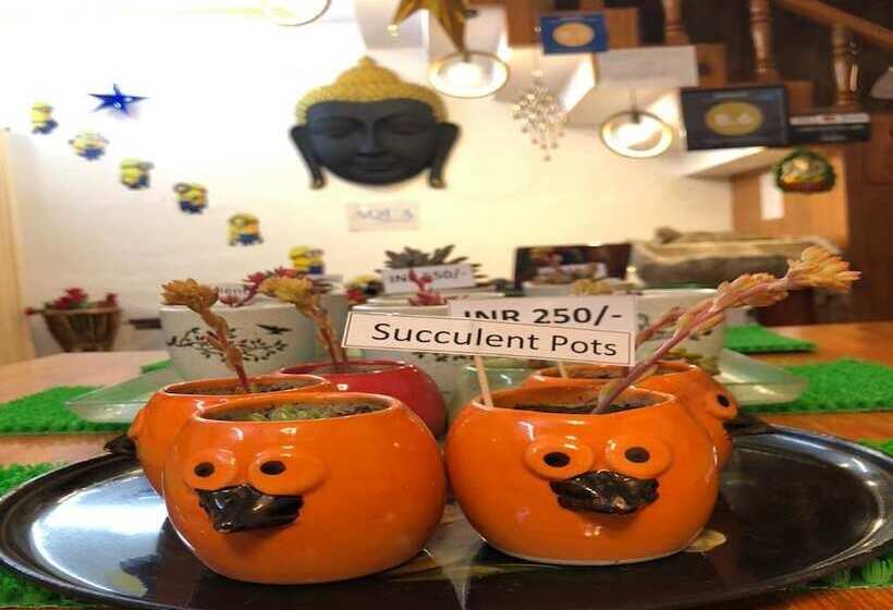 בית מלון כפרי Aqua De Vida Resort