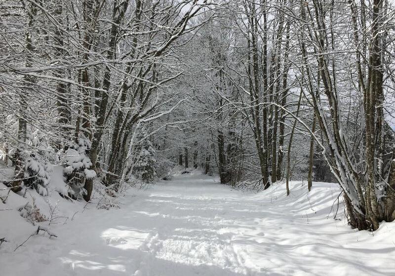 בית מלון כפרי Auberge Du Chateau De Joux