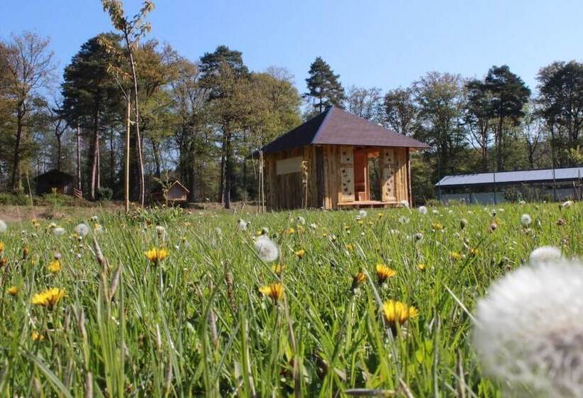 酒店 Camping Osenbach