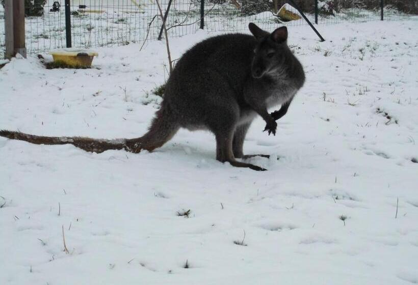酒店 Chambre D Hôtes Etretat