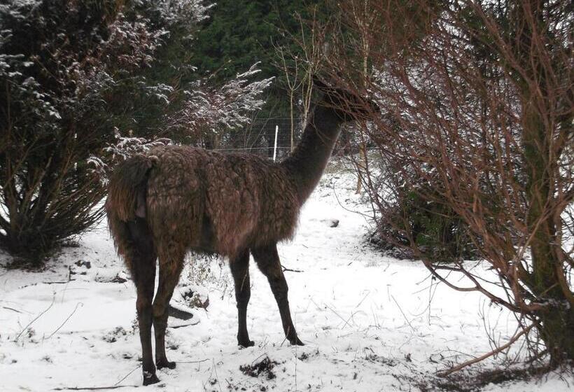 酒店 Chambre D Hôtes Etretat