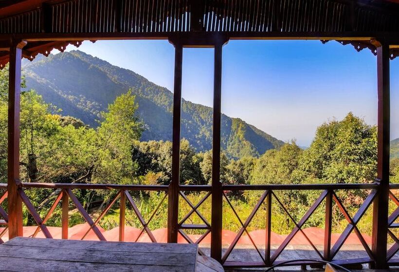 Отель Jungle Lore Birding Lodge