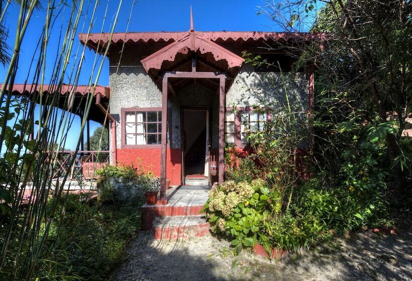 Отель Jungle Lore Birding Lodge