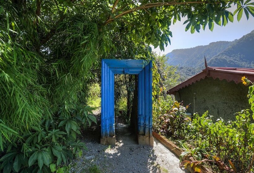 Отель Jungle Lore Birding Lodge