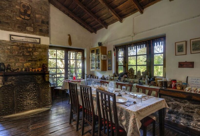 Отель Jungle Lore Birding Lodge