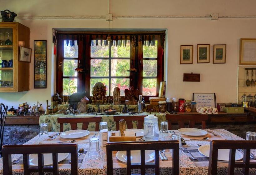 Отель Jungle Lore Birding Lodge