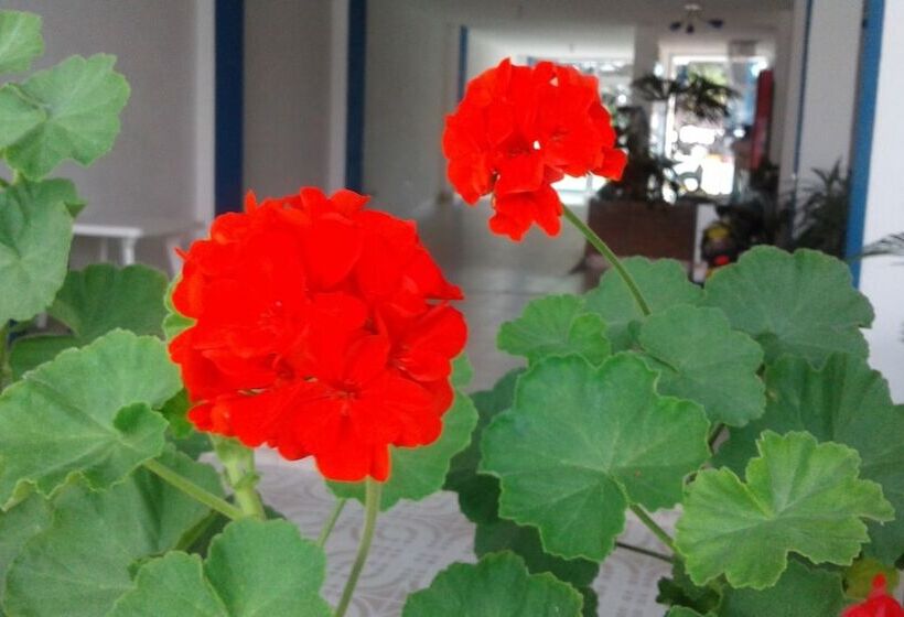 فندق Orquidea Resort