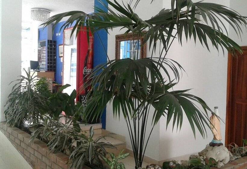 فندق Orquidea Resort