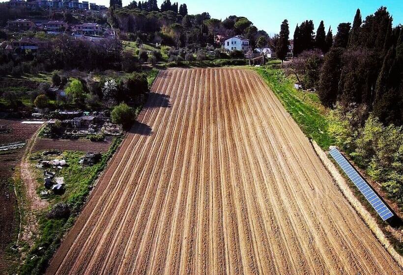 田舎風ホテル Agriturismo Campo Al Sole