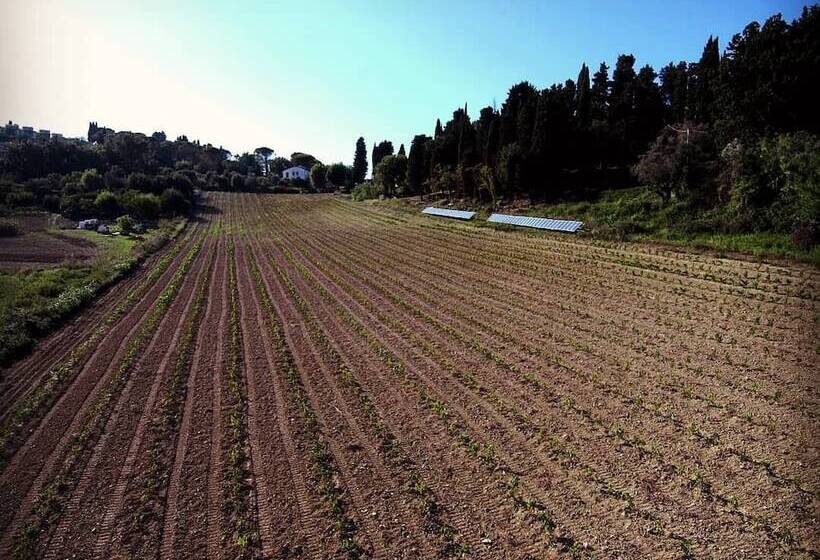 田舎風ホテル Agriturismo Campo Al Sole