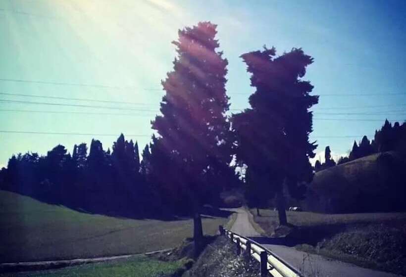 田舎風ホテル Agriturismo Campo Al Sole