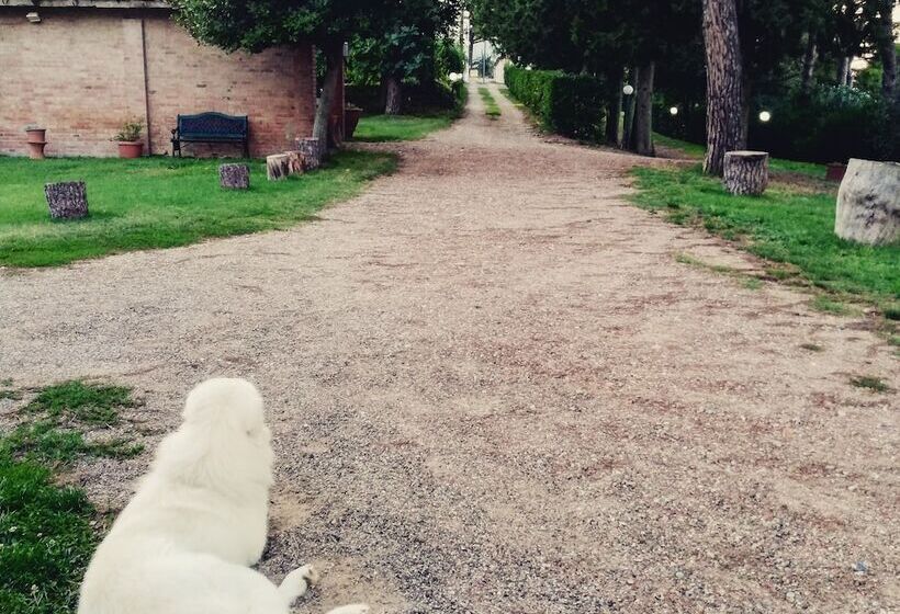 田舎風ホテル Agriturismo Campo Al Sole