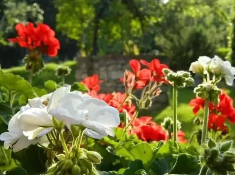 田舎風ホテル Agriturismo Campo Al Sole