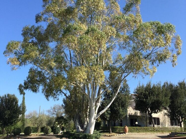 בית מלון כפרי Agriturismo I Profumi Dell Orto