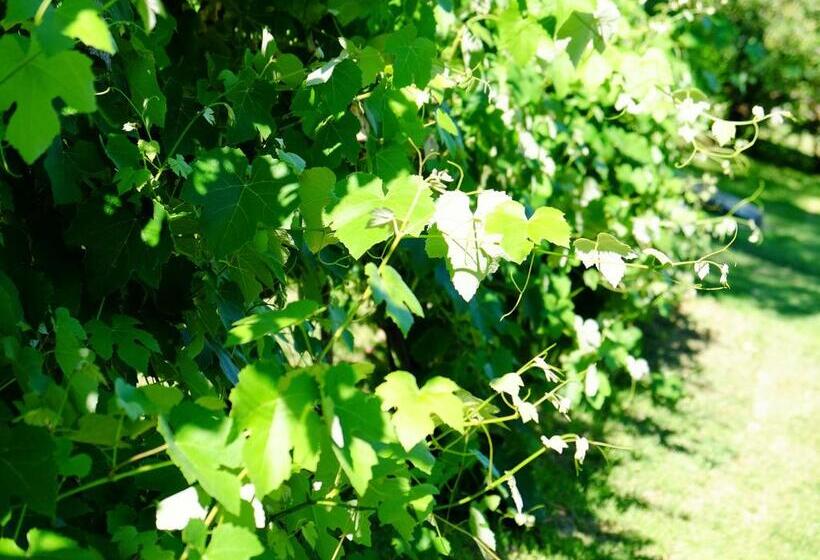 Сельский отель Agriturismo Villa Maria Pia