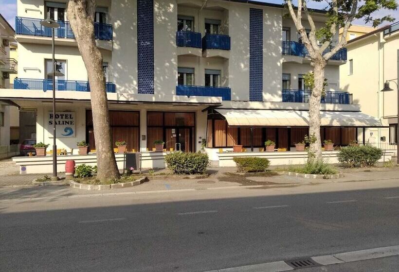 호텔 Saline
