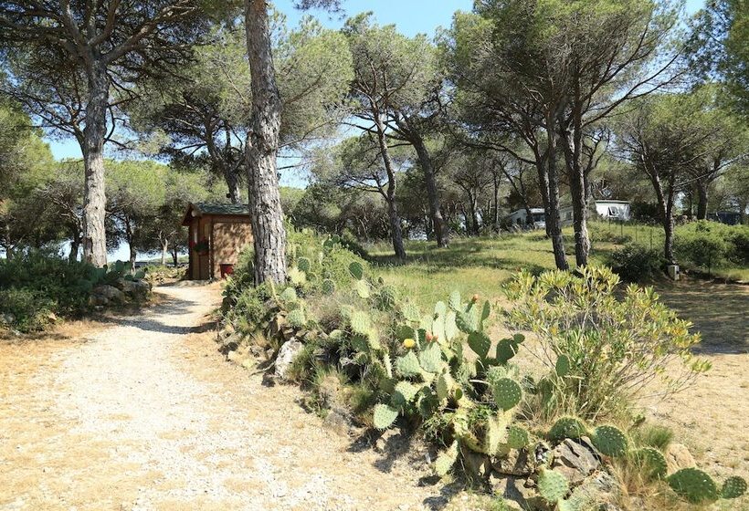 ホテル Ushuaïa Villages Camping Figurotta